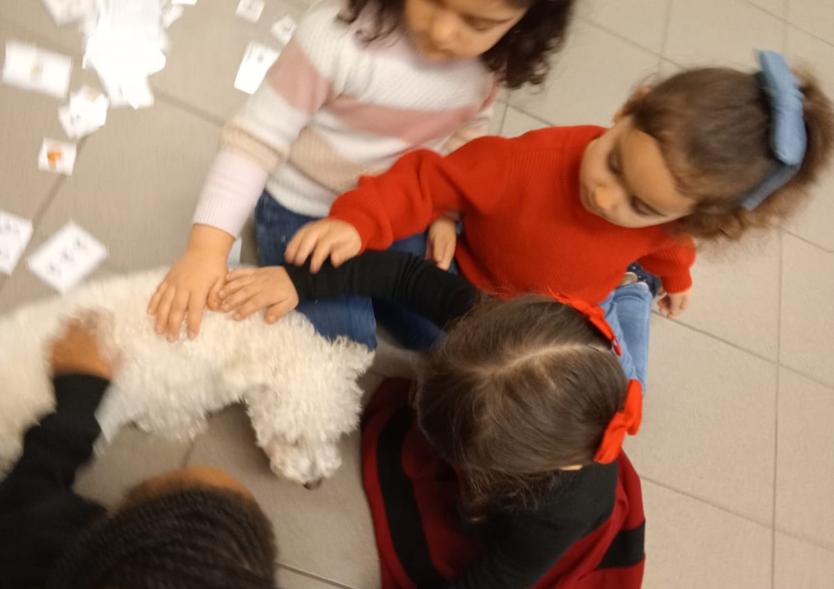 whatsapp image 2026-01-16 at 22.47.23